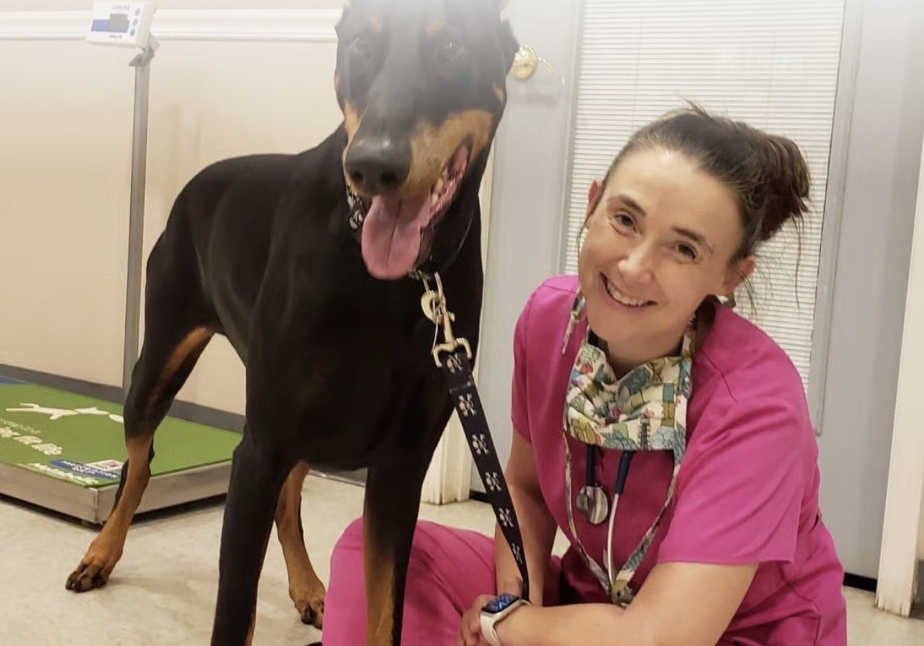Veterinary staff member with a dog at Sardin Animal Clinic